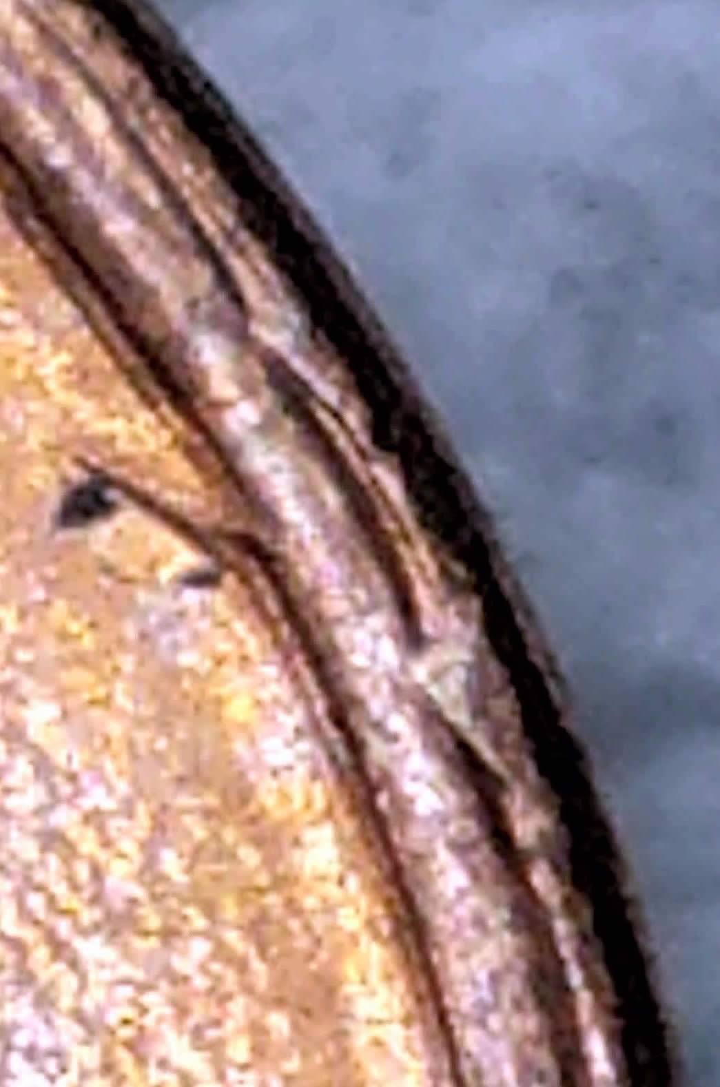 1991-P-Lincoln-Skull-Die-Crack-And-Rim-Error-On-The-Obverse?